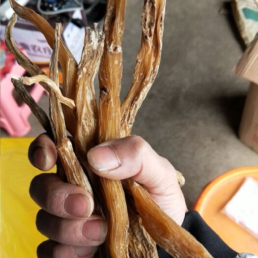 瓮安县百部，干百部