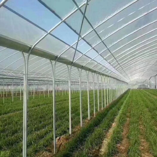 天津养殖大棚骨架 万吨大棚骨架，每天在线生产，工期快，价格低，免费设计
