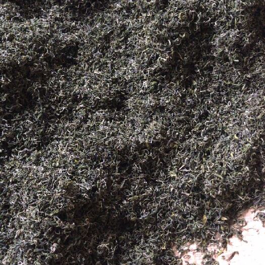 湄潭县 明前毛峰绿茶
明前翠芽