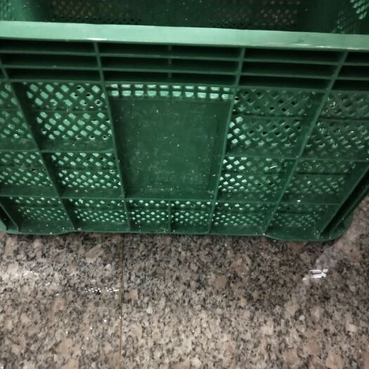 烟台周转箱