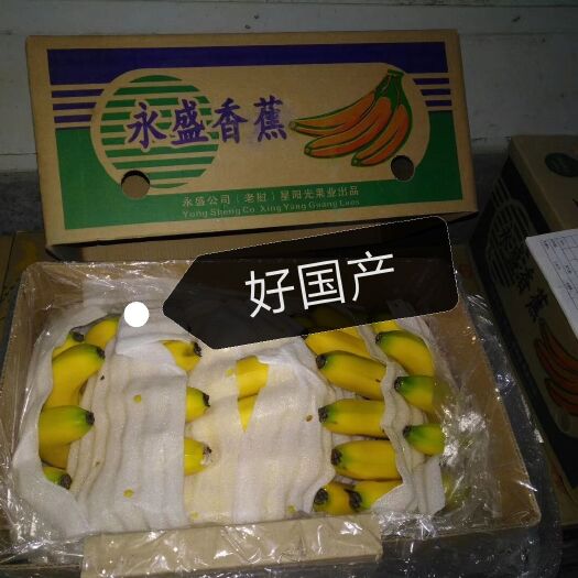 北京 批发零售，国产高中低档香蕉，代购其它水果蔬菜，调料，肉类