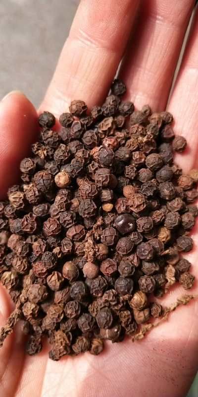 黑胡椒新货 无硫 干净（药食两用） 一公斤包邮