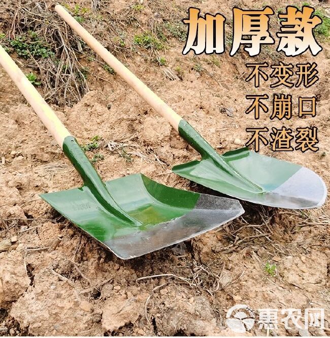  铁锹农用羊铲挖土工具尖头平头小号木柄加厚锰钢淬火钢锹铁锨铁