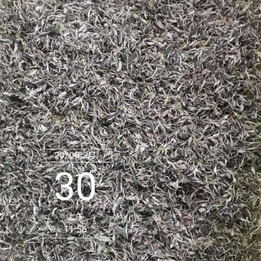 寿宁县白牡丹茶  2020年高山花香明前新茶 400克/件（2袋）
