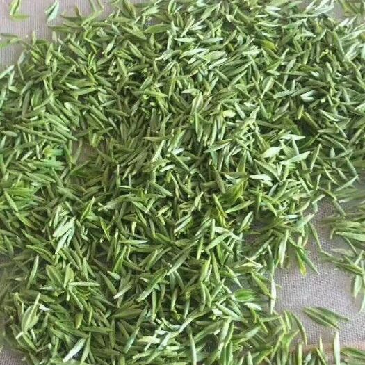 岳西县云雾茶  岳西翠兰 岳西2022新茶上市！真正的高山好茶