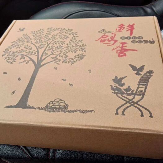 龙游县肉鸽蛋 新鲜鸽蛋