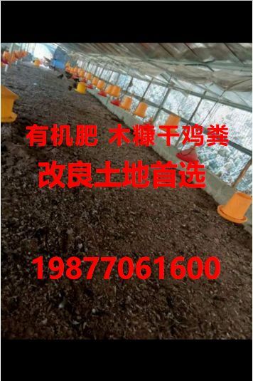 田林县 木糠4个月干鸡粪，协助找车，欢迎老板洽谈合作