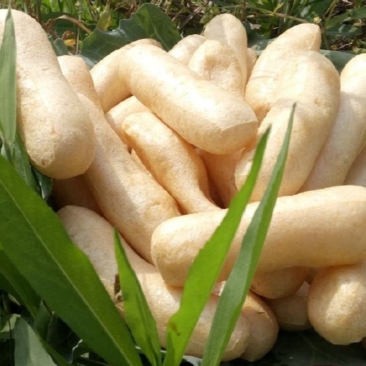 九江豆笋  江西九江特产：  豆条，  又名（豆参）非物质文化遗