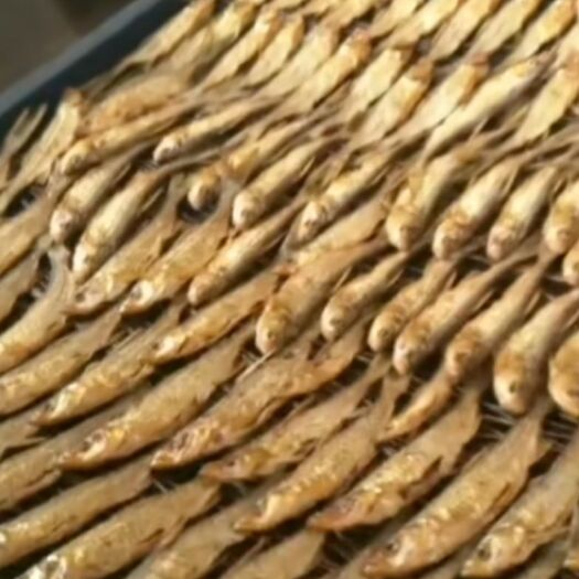 剑河县小鱼干 无污染淡水柴火碳火烘焙 无烟味无腥味  小白条 翘嘴