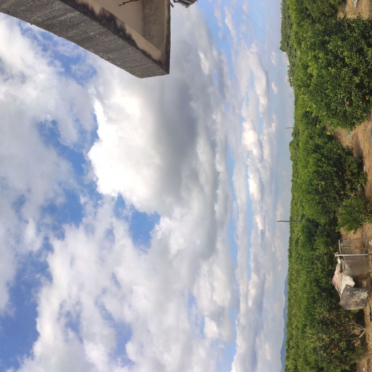 阳西县荒地