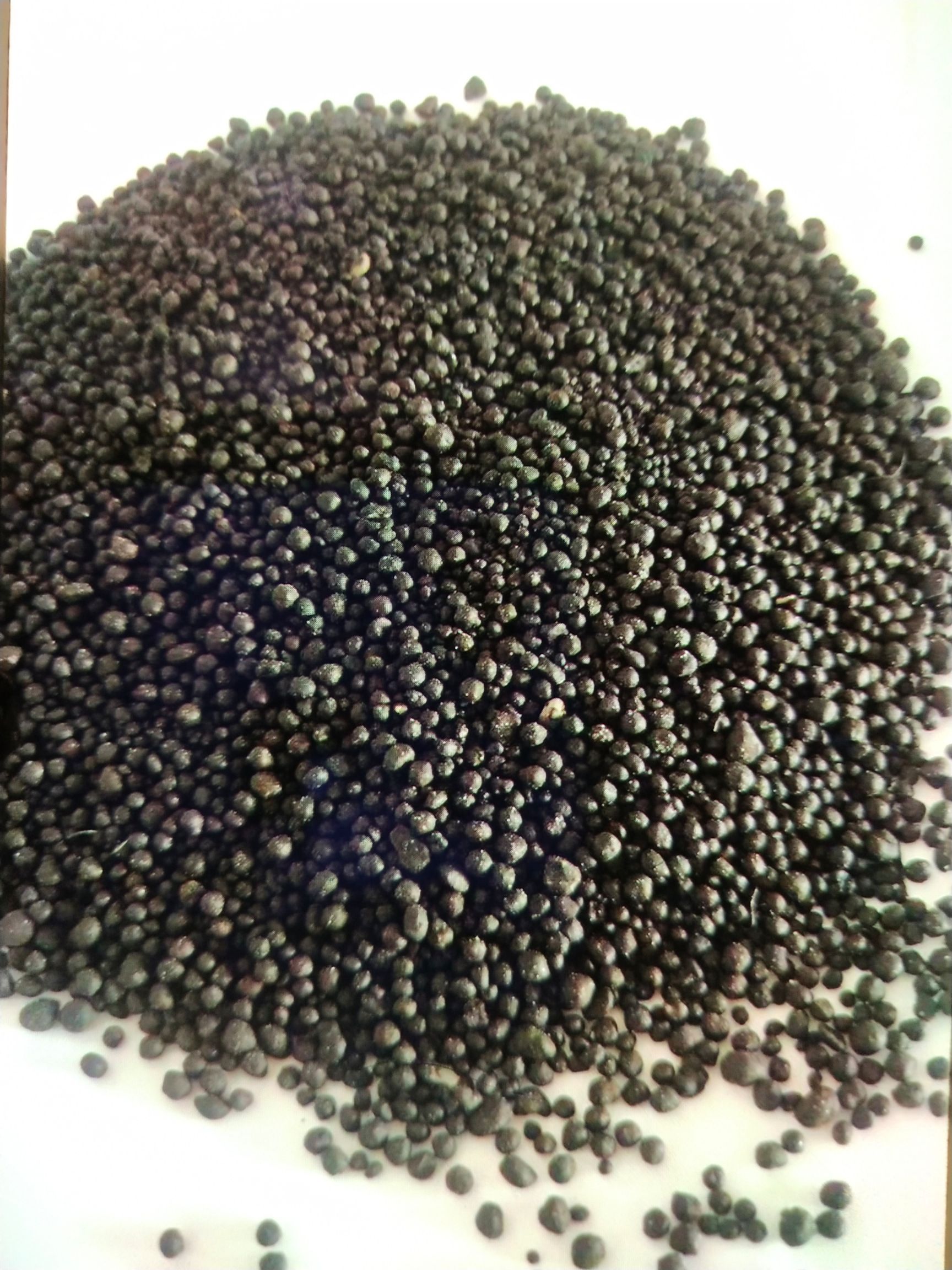  海藻生物菌肥.有机菌肥.有机肥