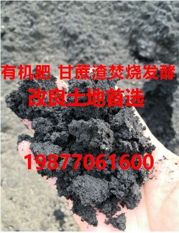 百色 甘蔗渣有机肥，焚烧发酵，颗粒细无杂质适合土地改良，有量大优