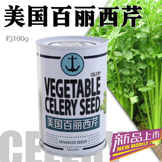 邯郸 美国百丽西芹100克 芹菜种子  菜园基地蔬菜种子