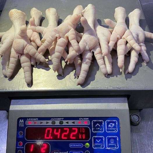 广州 俄罗斯鸡爪