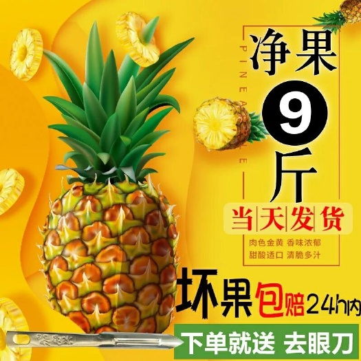 晋江市海南菠萝蜜 （坏果包赔）海南新鲜大菠萝手撕香水菠萝凤梨5/10斤水果