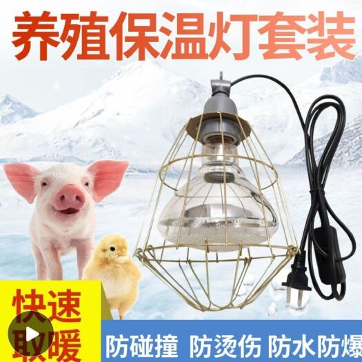 南京取暖器 保温灯养殖取暖灯小鸡仔猪加热灯防水防爆烤灯