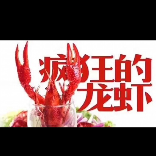 潜江市潜江小龙虾 中青