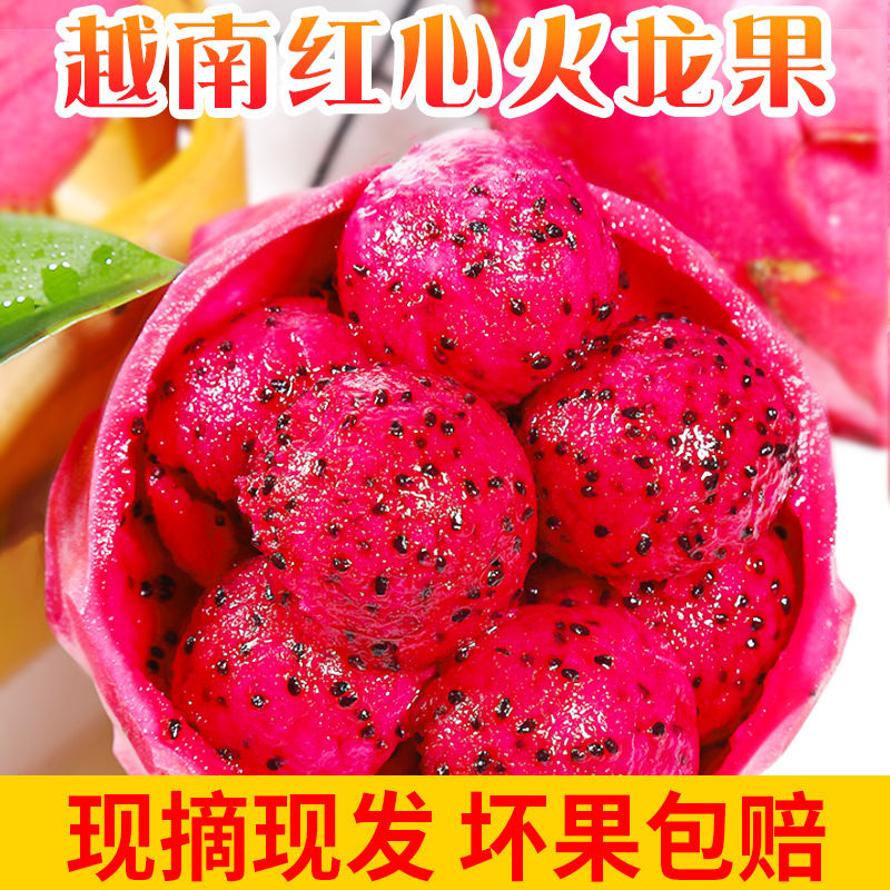 合肥【精选甘甜多汁】越南红心火龙果新鲜水果当季应季5斤装红肉包