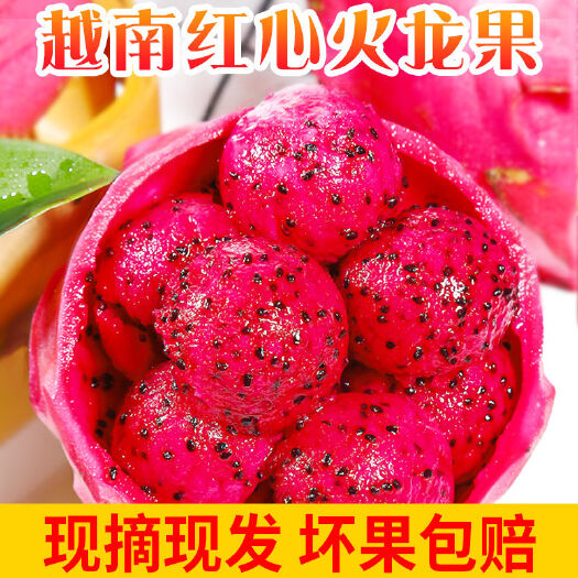 【精选甘甜多汁】越南红心火龙果新鲜水果当季应季5斤装红肉包