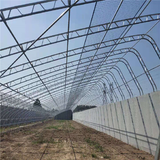 泊头市C型钢温室大棚 双膜骨架日光棚又称C型钢骨架