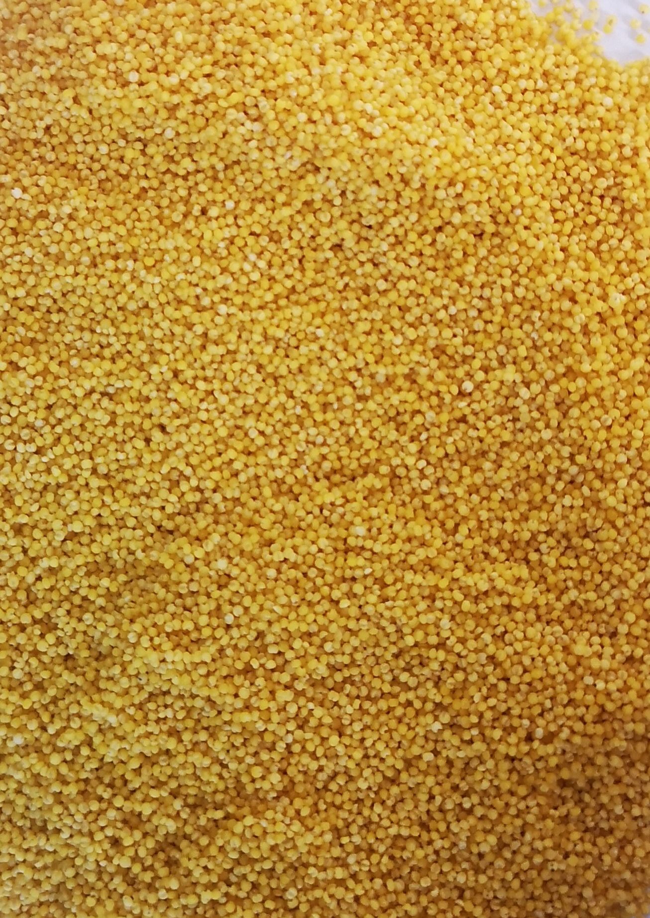 辽宁朝阳朝阳县米脂小米产地最新行情趋势 - 产地价格数据 - 惠农网