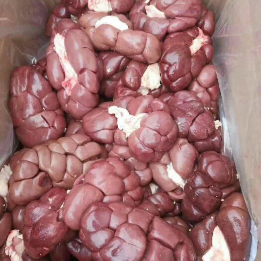 锡林浩特 牛腰子