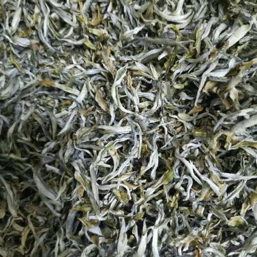 凤庆县竹叶青茶 滇红古树大叶炒青