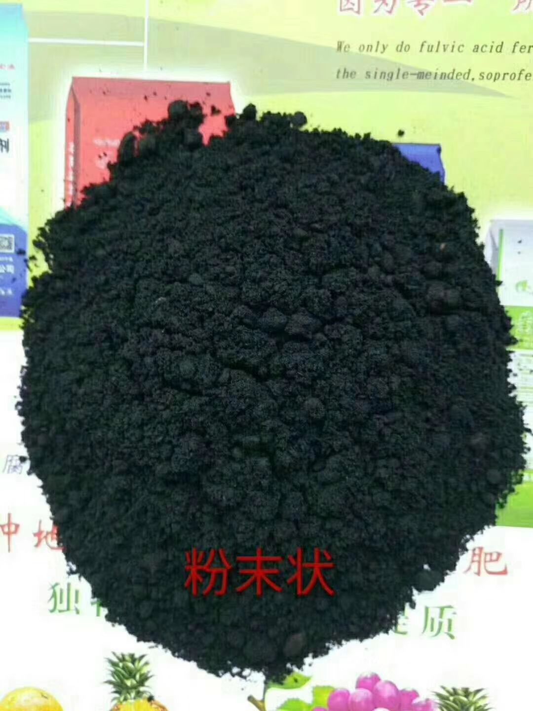 菌肥  生物有機 果蔬生物 有機質(zhì)50每克5億菌