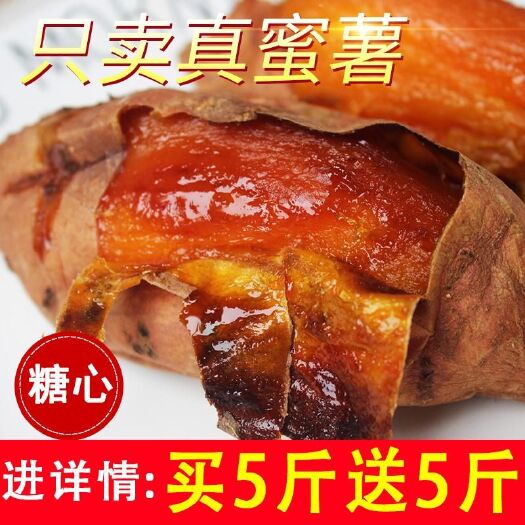 純沙土地蜜薯