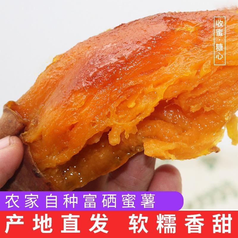 纯沙土地蜜薯