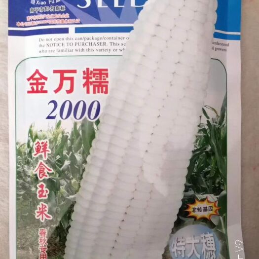 郑州 金万糯玉米种子 200克