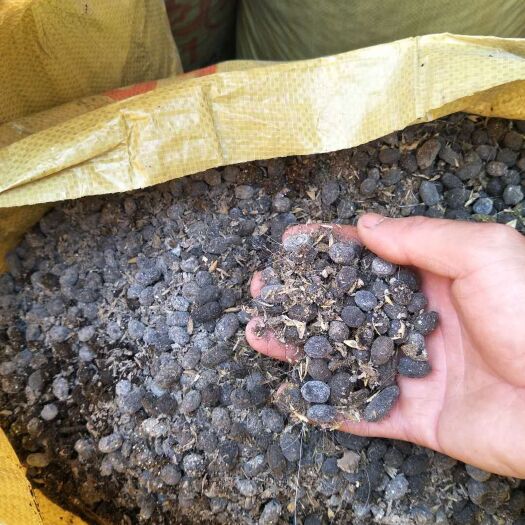 乐至县羊粪  全颗粒-钦霖搬运-必属精品