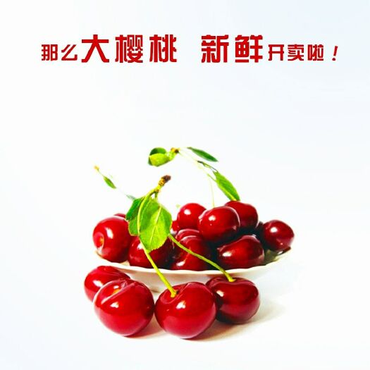 大连美早樱桃  大连金州美早大樱桃，更脆更甜更好吃！