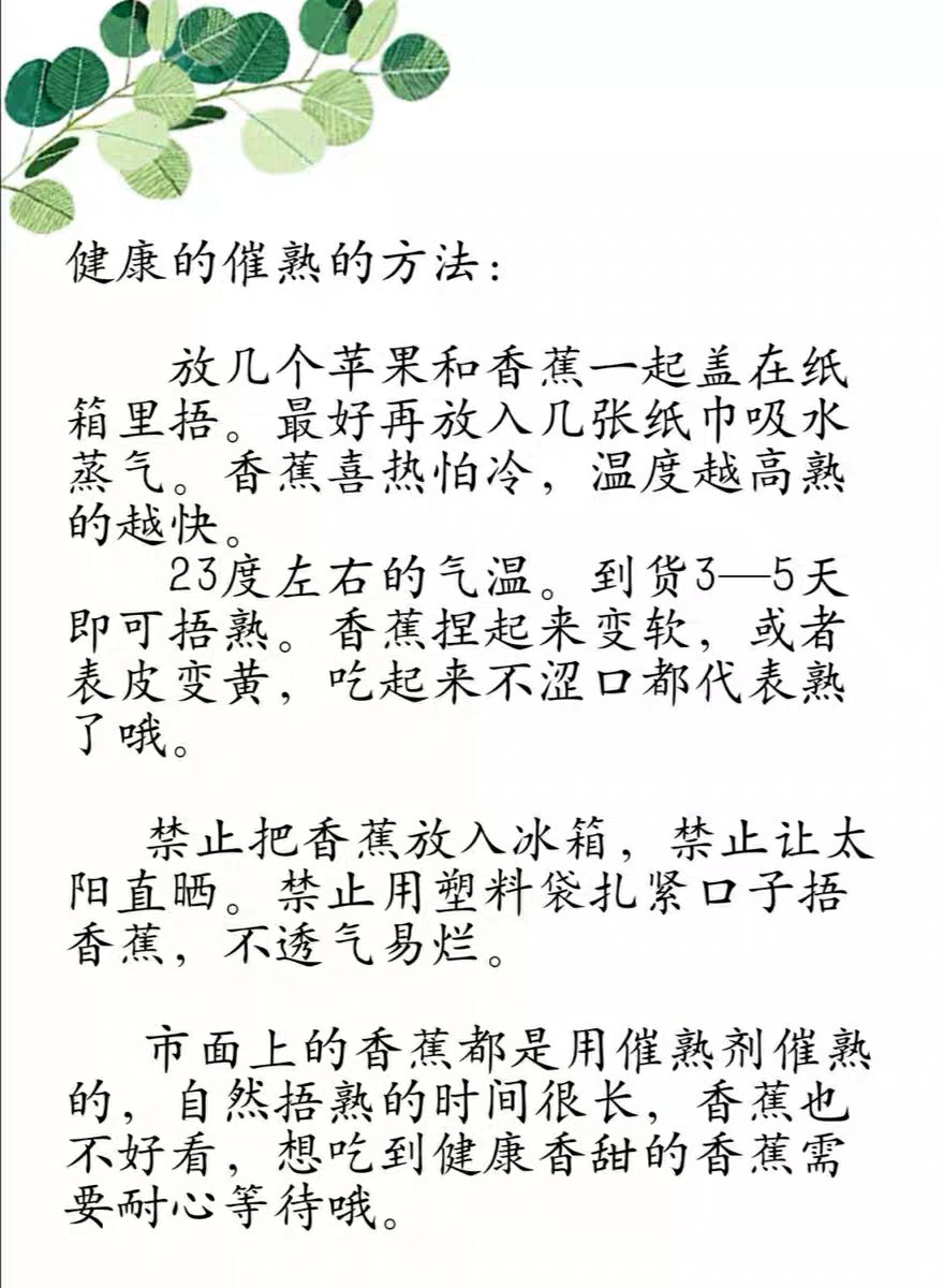 涠洲岛火山岛甜香糯香蕉小米蕉农家自产自销