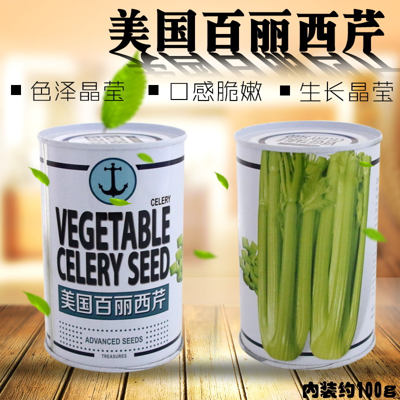  美国百丽西芹100克 芹菜种子  菜园基地蔬菜种子