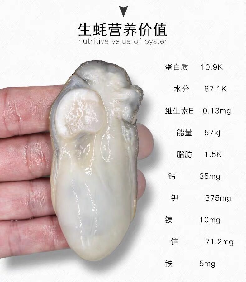 汫洲大蚝 女人的**院，