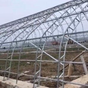 泊头市C型钢温室大棚