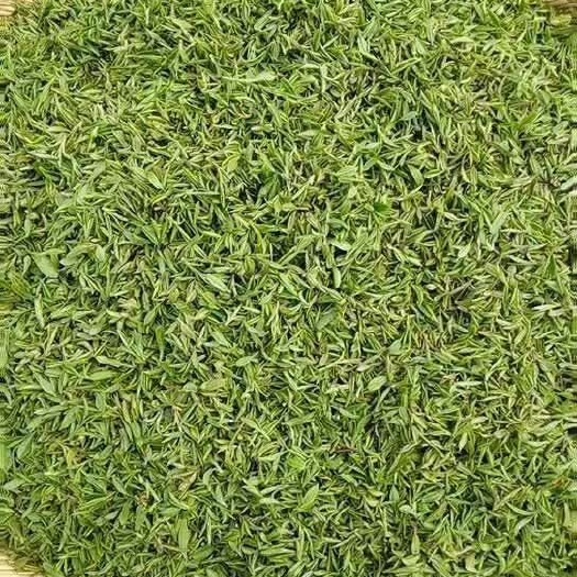 桐柏县绿茶  自家明前野山茶好喝的茶