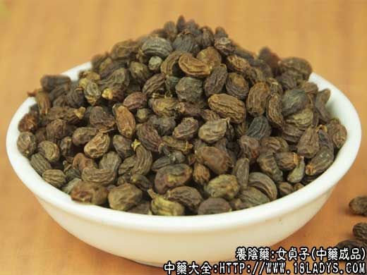 徐州 明目，乌发，女贞子