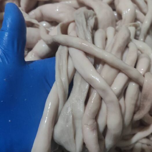 精品白羊肠，肥瘦适中，一手货源