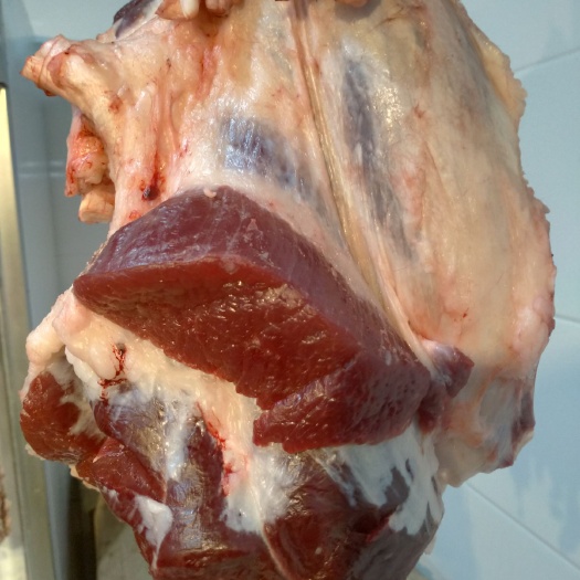银川牛腱子肉 生肉