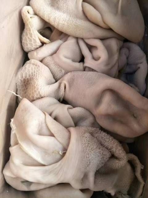 中牟县全熟羊肚，里子干净