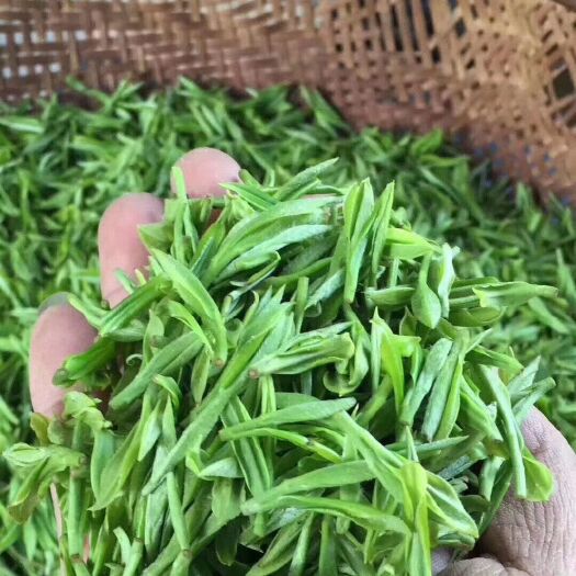 婺源县高山绿茶 明前高山茶叶