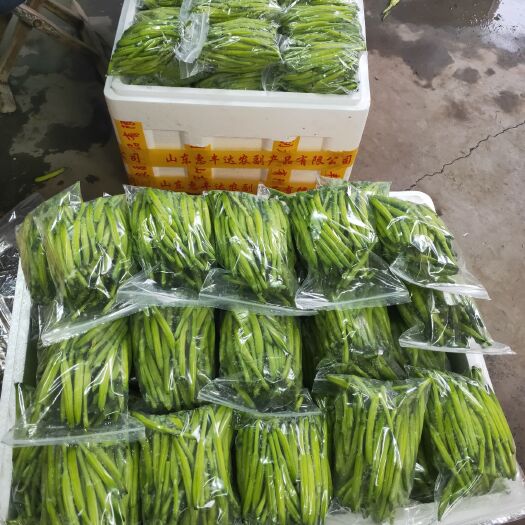 淄博 鲜黄花菜  金针菜