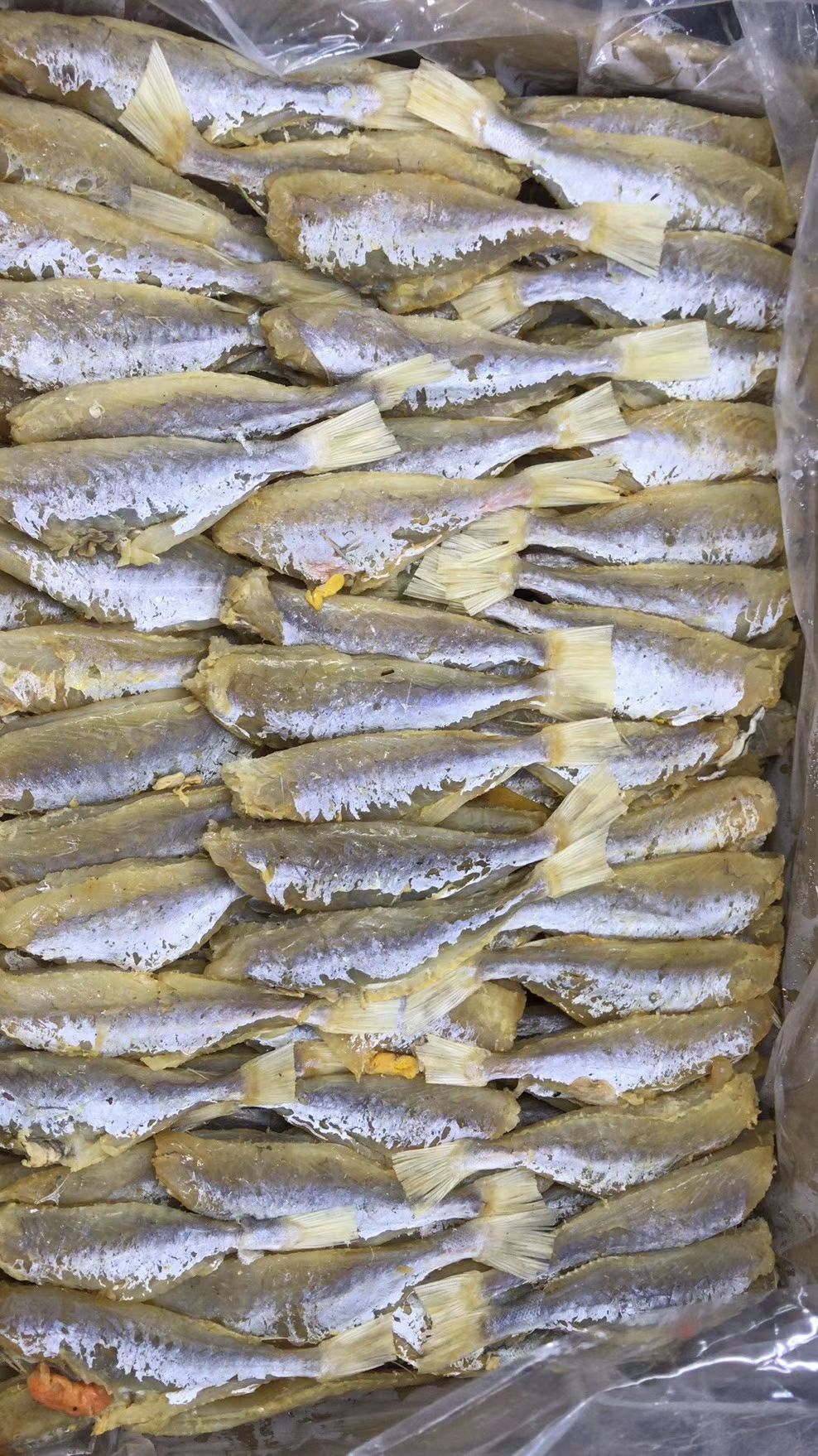 咸鱼 3-6个月