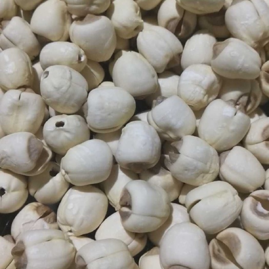 建宁县白莲子 本品：纯干 纯通心 不掺水，不熏硫.不添加任何防虫药剂