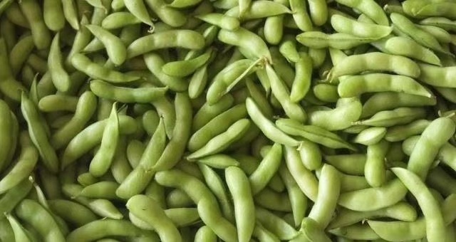 毛豆荚  毛豆，绿宝石毛豆颗粒饱满，颜色漂亮