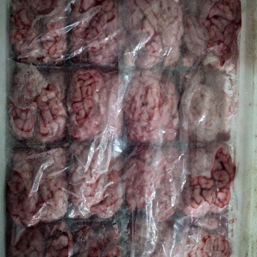 中牟县精品羊脑