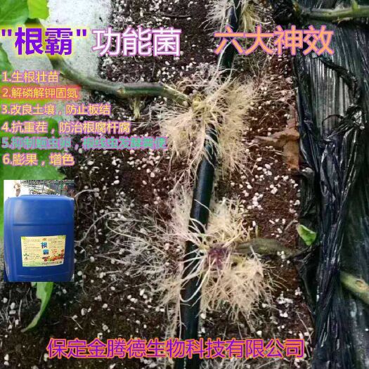 唐县微生物菌剂 生根剂 生长调节生根粉 腐烂病 发酵剂 腐熟剂