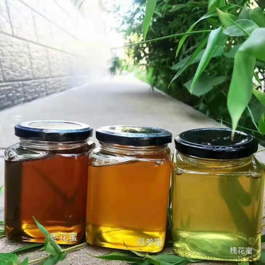 蒙阴县 沂蒙山纯蜂蜜